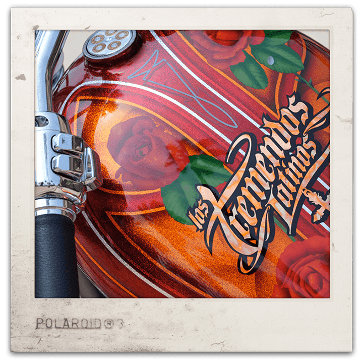 Jets Forever - Memory Lane